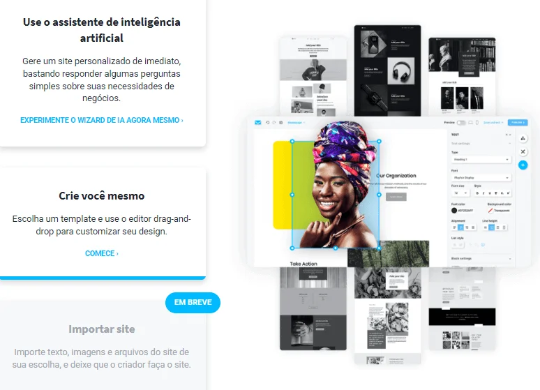 desvantagens de usar site gratuito