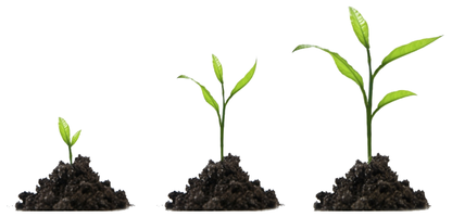 como reinvestir os lucros da sua empresa