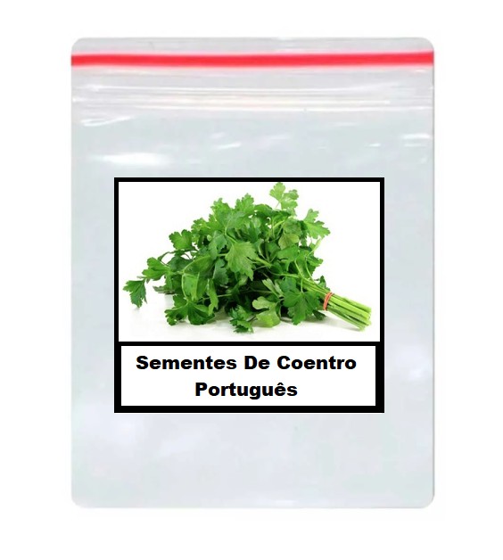coentro ortografia