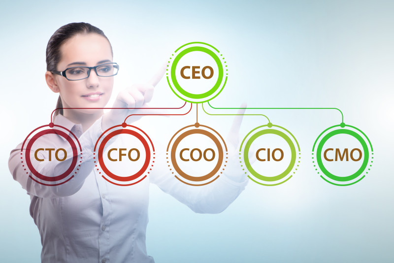 COO vs CEO