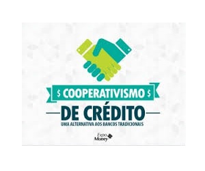 instituição financeira sem fins lucrativos