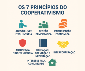 cooperativa de trabalho vs. empresa individual