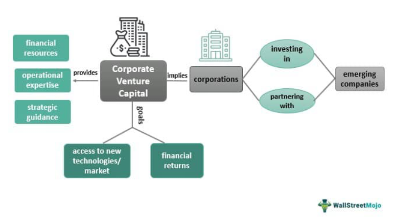 Como Estruturar uma Tese de Investimento para CVC