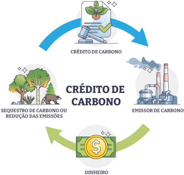 crédito de carbono