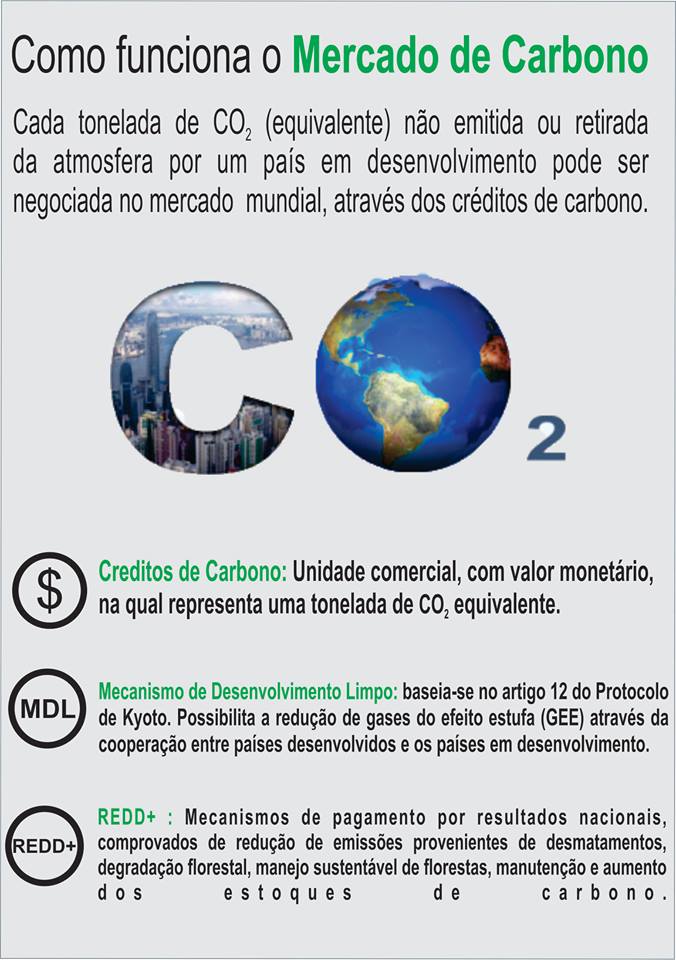 crédito de carbono