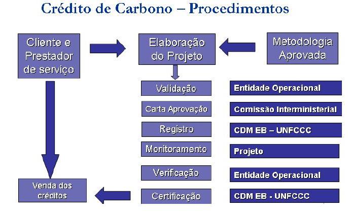 5 ideias de títulos:
1. Créditos de Carbono: O Guia Completo para Entender e Investir
2. Como Projetos de Reflorestamento Geram Créditos de Carbono no Brasil
3. Oportunidades no Agronegócio: A Safra de Carbono para Pequenos Produtores
4. Mercado Regulado vs. Voluntário de Carbono: Qual a Diferença?
5. A Regulação dos Créditos de Carbono no Brasil: O Papel da CVM e do SBCE