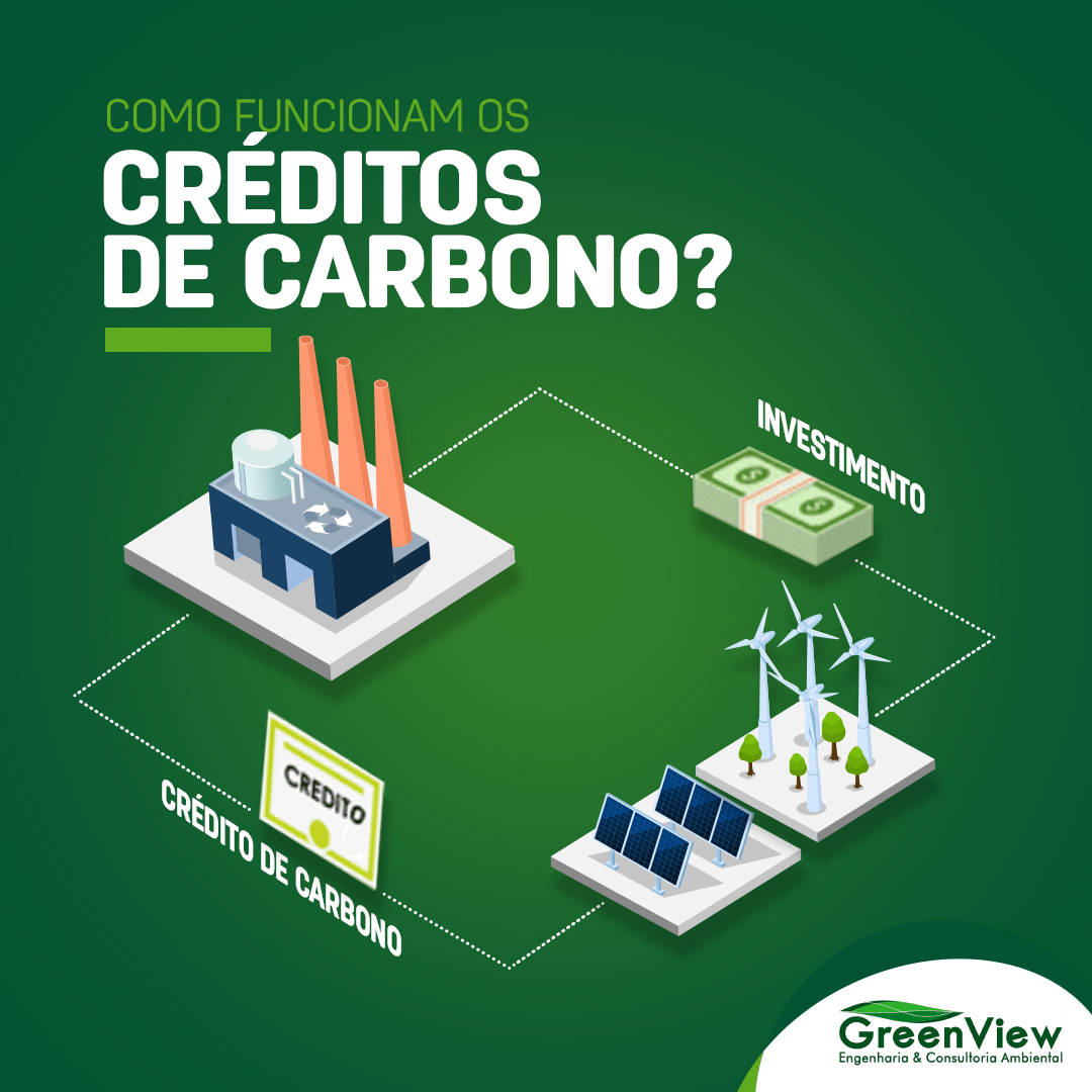 Guia Completo: Como sua Empresa Pode Gerar Créditos de Carbono