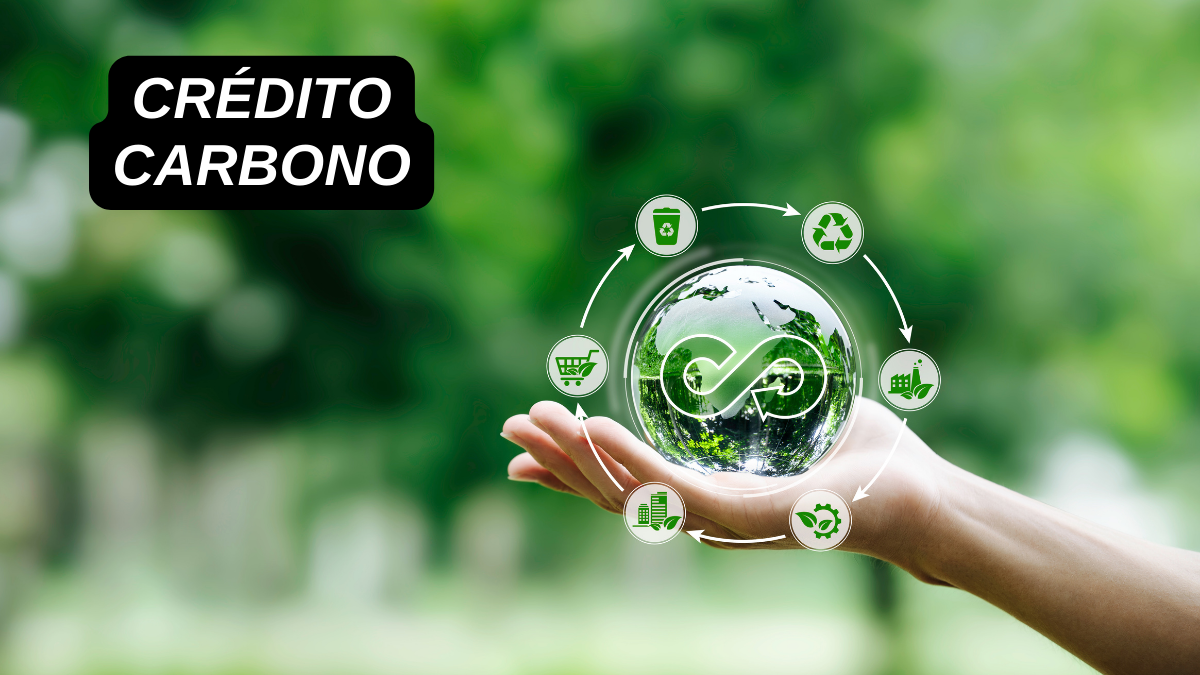 Comparativo: Preços de Crédito de Carbono no Brasil vs. Mercado Global