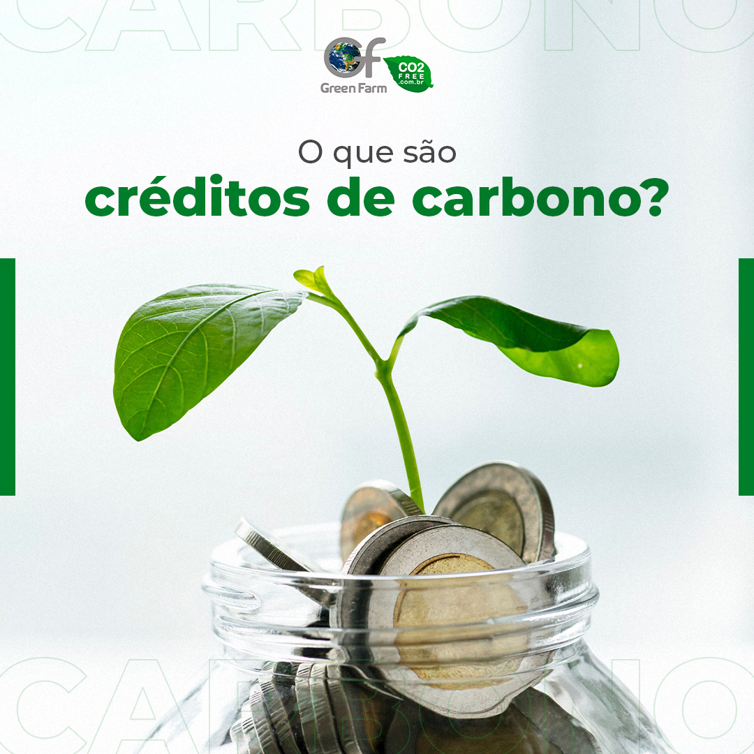crédito de carbono para empresas
