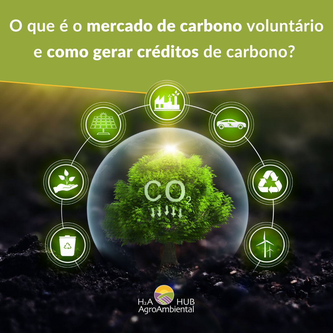 Entenda o Mercado Regulado de Carbono no Brasil (SBCE) e Seus Impactos