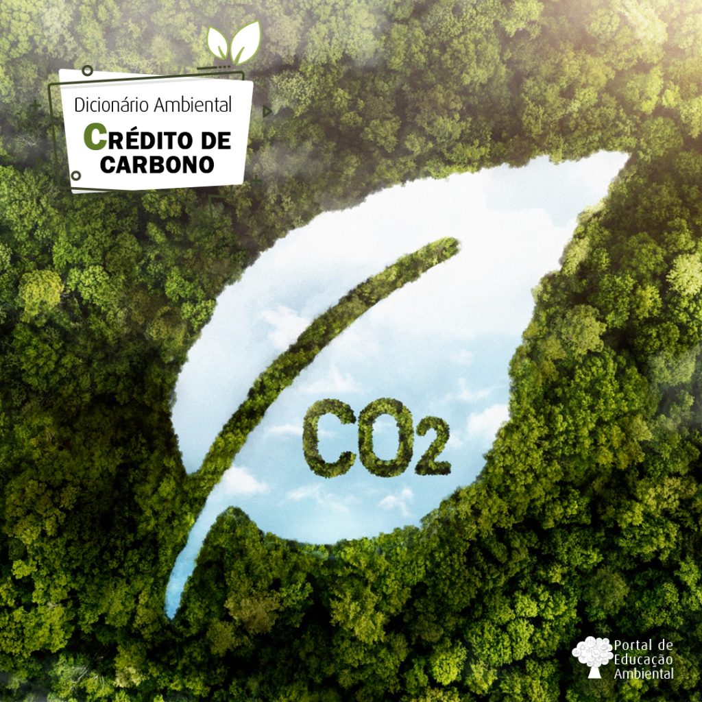 Comparativo: Preços de Crédito de Carbono no Brasil vs. Mercado Global