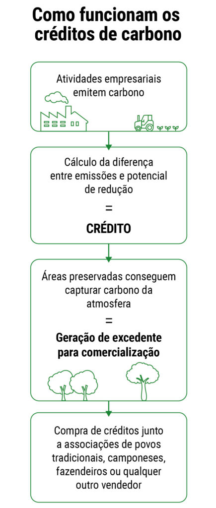 Guia Completo: Como sua Empresa Pode Gerar Créditos de Carbono