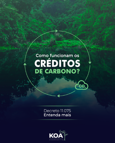 5 Estratégias para Reduzir Emissões e Vender Créditos de Carbono
