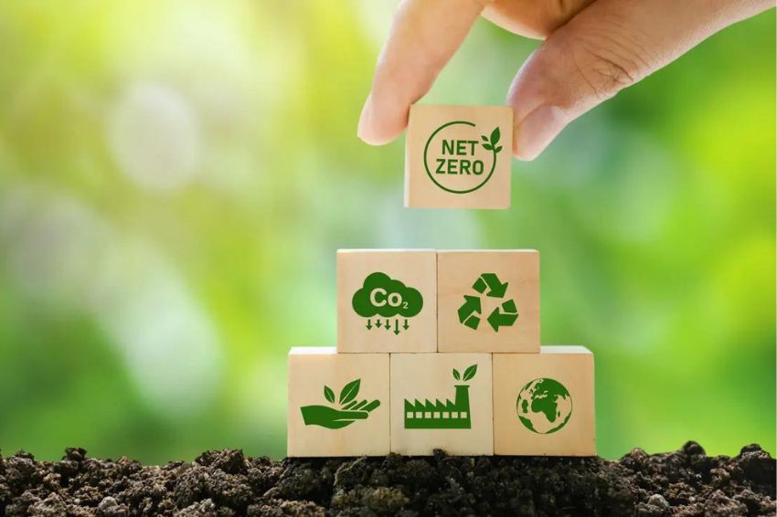 O Papel do Crédito de Carbono nas Metas ESG da Sua Empresa