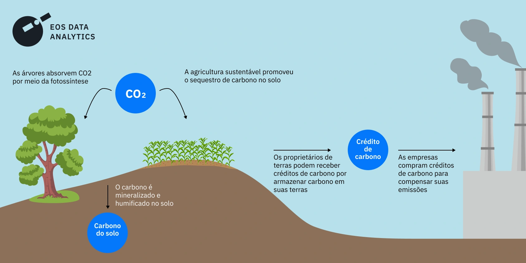 Entenda o Mercado Regulado vs. Voluntário de Créditos de Carbono