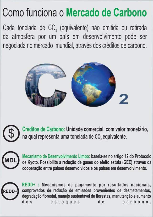 Os Desafios e Críticas ao Mercado de Créditos de Carbono