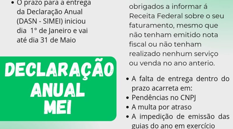 Guia Completo: Como Preencher a DASN-SIMEI 2025 Sem Erros