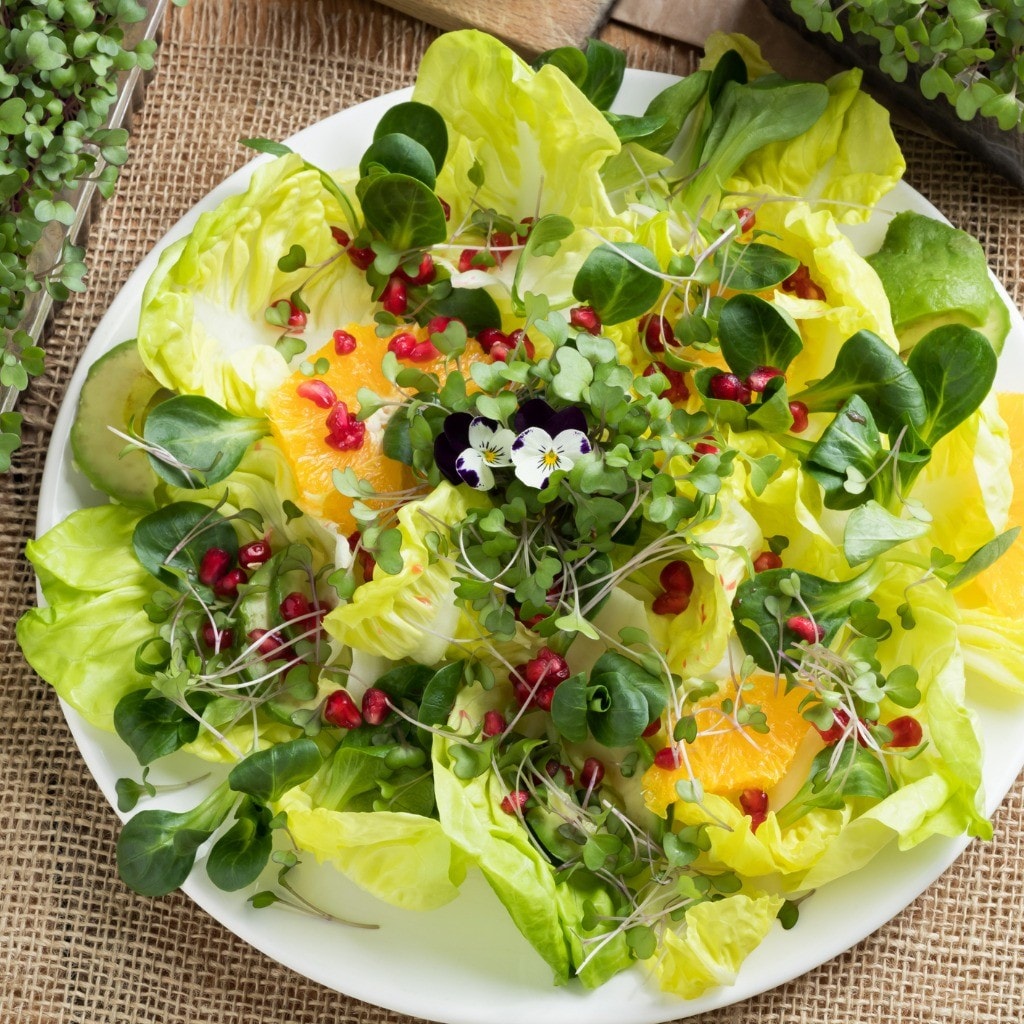 apresentação de saladas para buffet