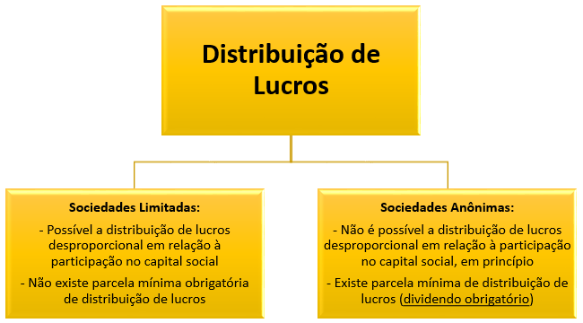 Pró-labore vs. Distribuição de Lucros: Entenda as Diferenças Fiscais