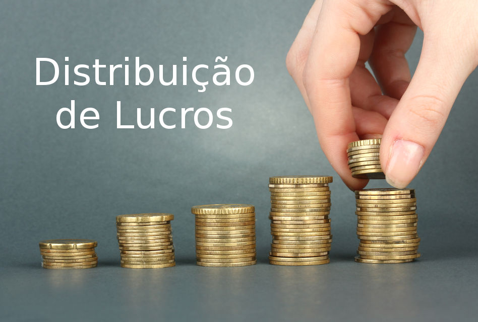 Guia Completo da EFD-Reinf para Distribuição de Lucros