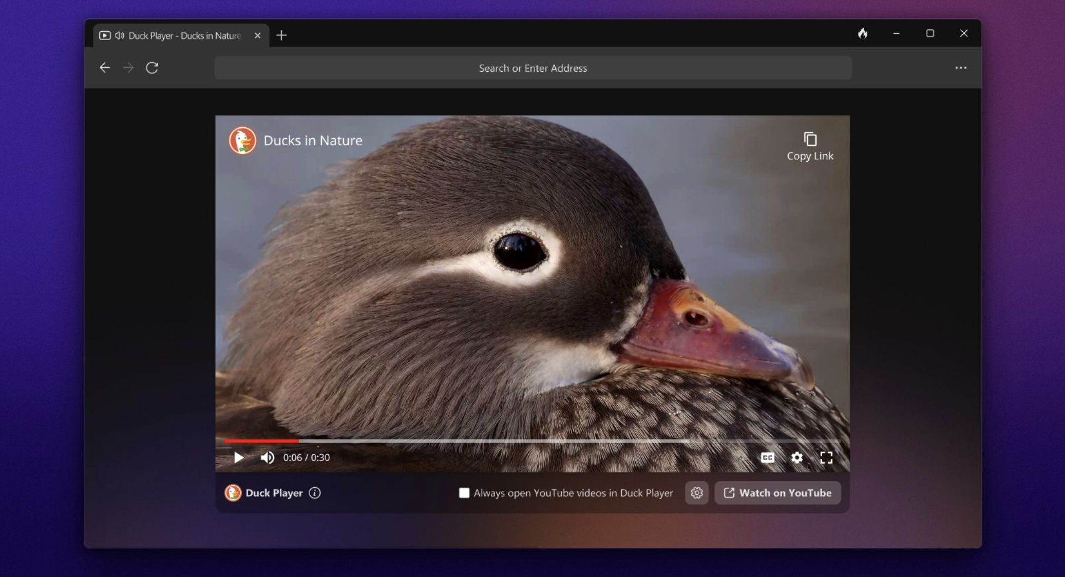 Mitos e Verdades sobre o Modelo de Negócios do DuckDuckGo