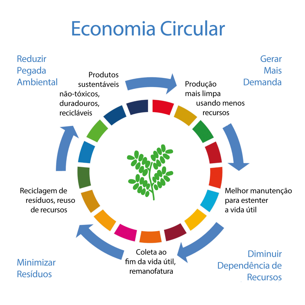 Os 3 Pilares da Economia Circular: Entenda os Fundamentos