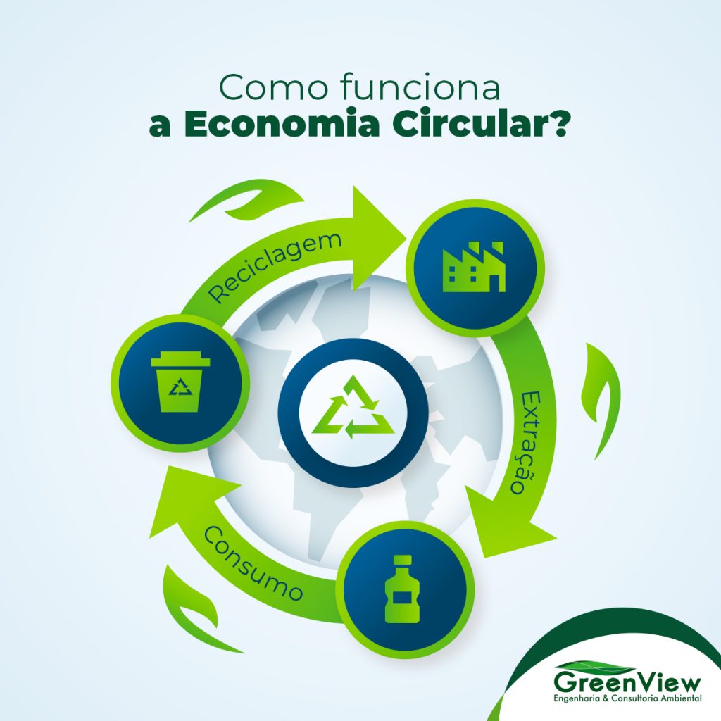 As 6 Fases da Economia Circular: Do Design à Reciclagem