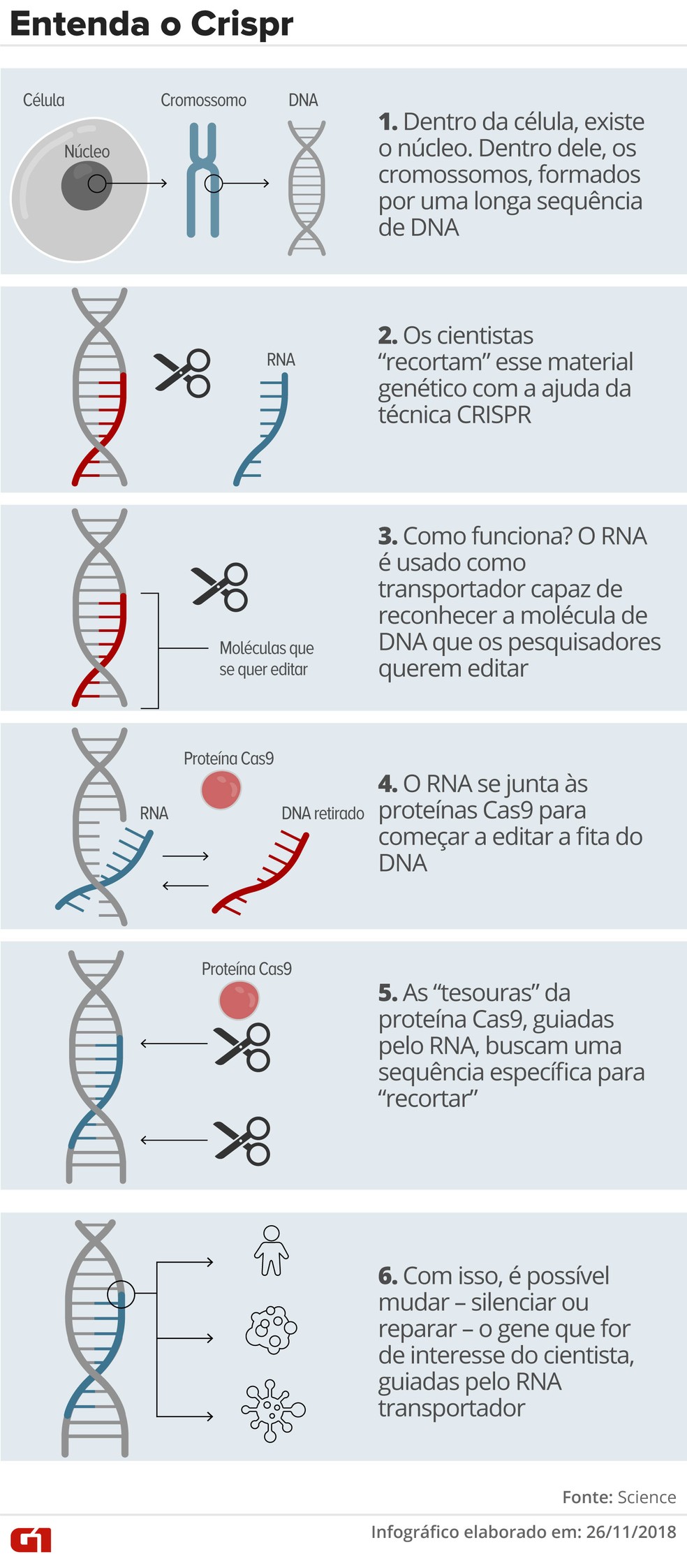 CRISPR-Cas9: Como a tecnologia está revolucionando a agricultura e a medicina