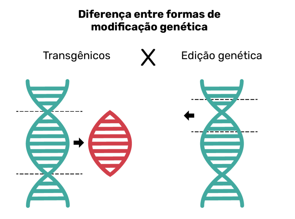 Edição Genética e Biodiversidade: Equilibrando Inovação e Sustentabilidade