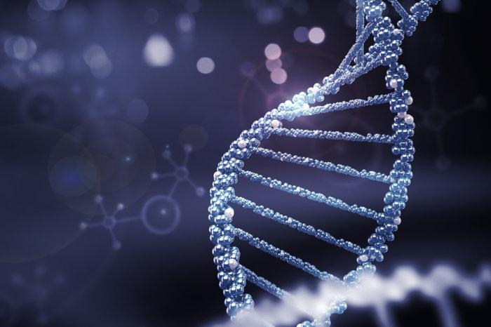 Edição Genética no Brasil: Implicações Jurídicas e o Futuro da Bioengenharia