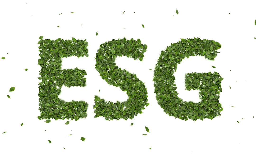 Métricas e Ferramentas: Como Avaliar o Desempenho ESG da Sua Organização