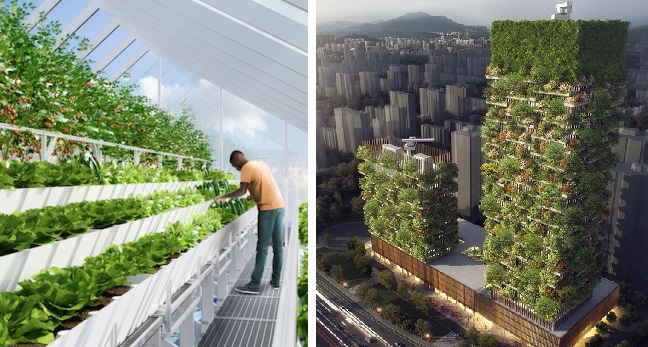 O futuro da alimentação: Como as fazendas verticais estão mudando a produção de alimentos