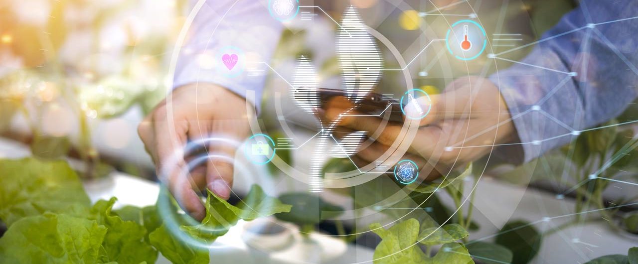 Proteínas Alternativas: O Futuro da Alimentação com Foodtechs como a Fazenda Futuro
