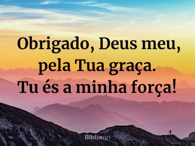frase gratidão