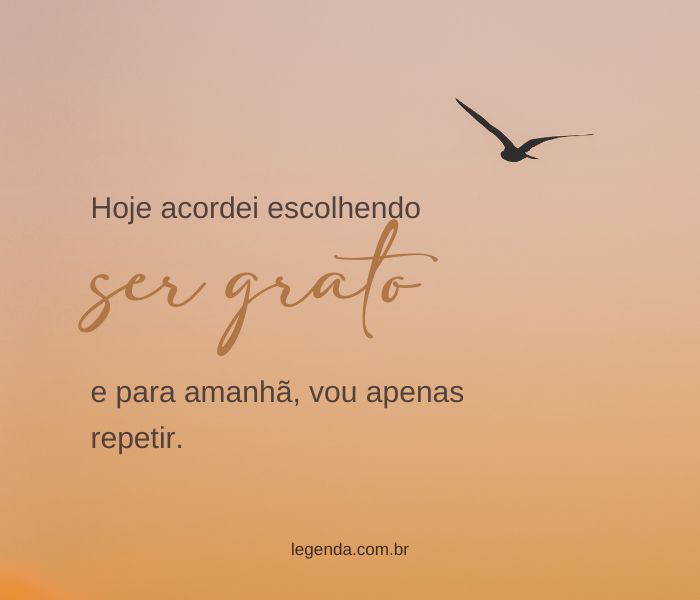 Frases de gratidão para legendar suas fotos