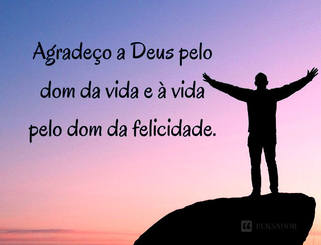 frases sobre gratidão
