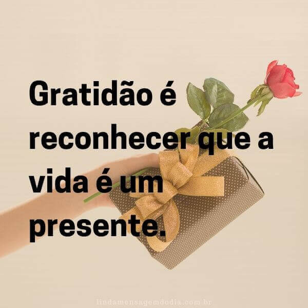 frases sobre gratidão