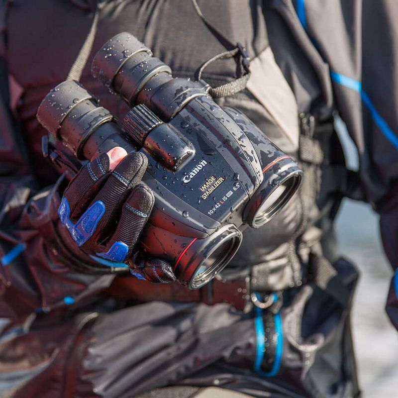 melhores gadgets para observar pássaros na natureza