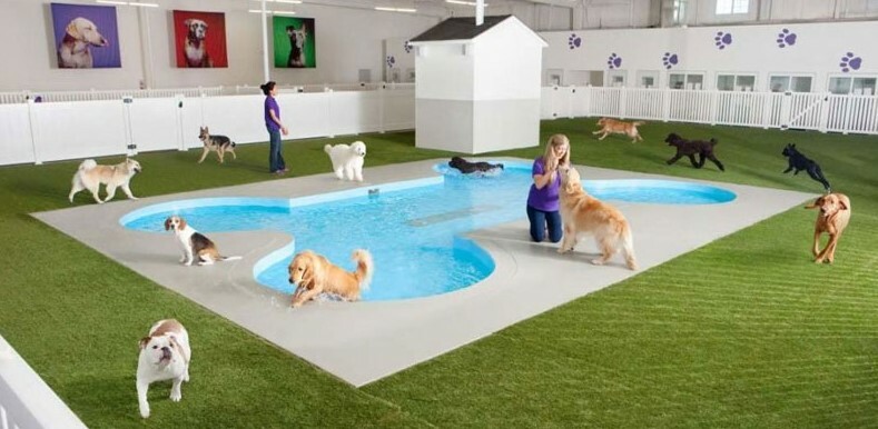 pet hotel