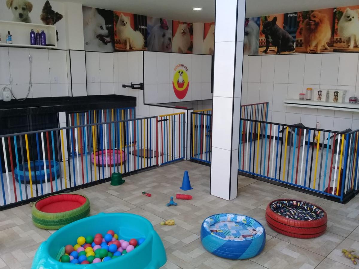creche para cachorros