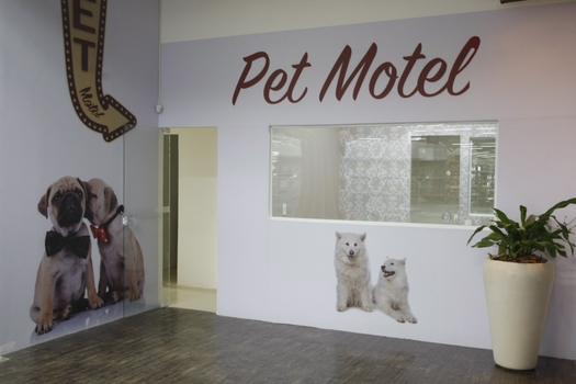 pet hotel