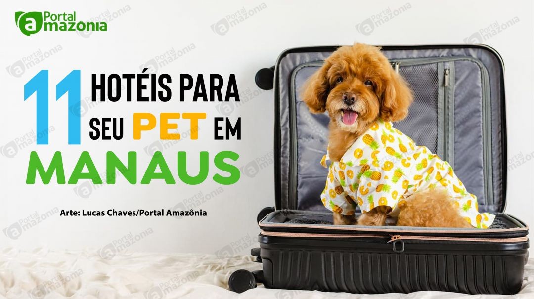hotel para filhotes