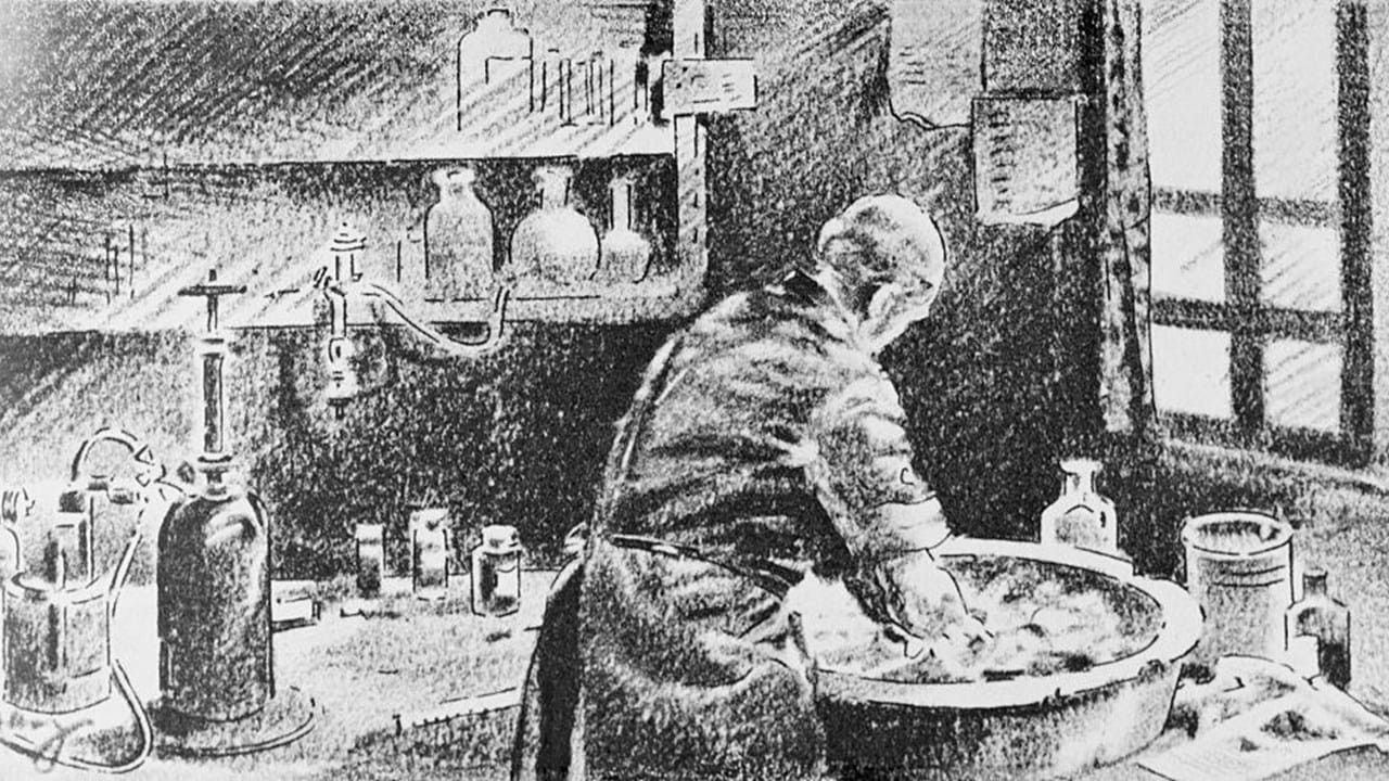 Febre Puerperal: Entendendo a Doença que Semmelweis Combateu