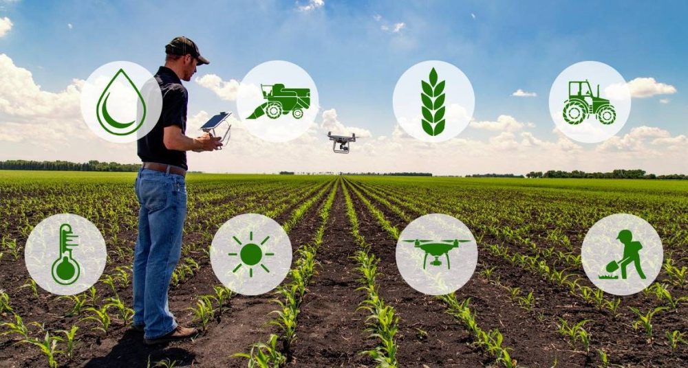 Superando os Desafios da Conectividade para a Agricultura 4.0 no Brasil