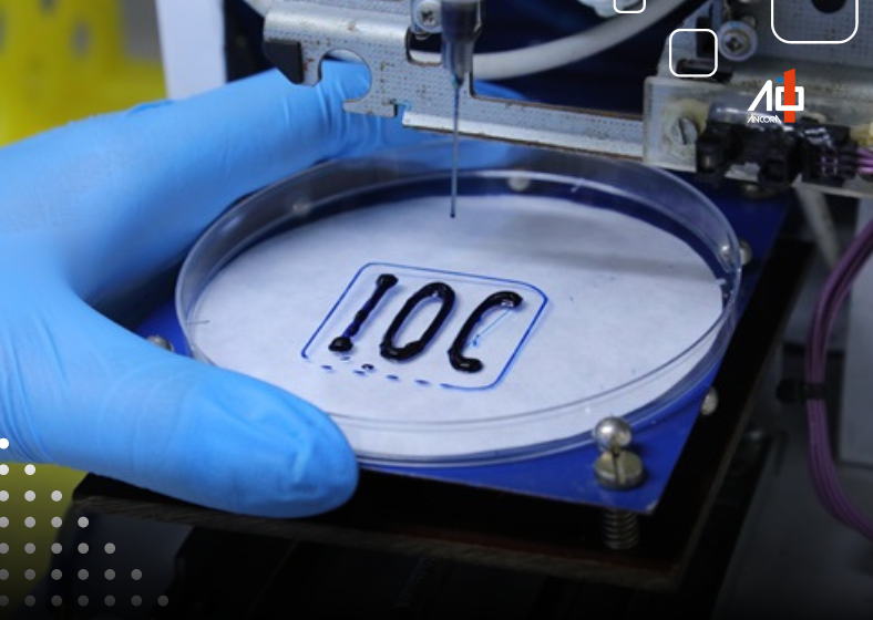 Miniórgãos: A Nova Fronteira para Testes de Medicamentos