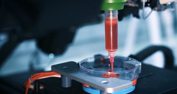 Democratizando a Bioimpressão: Iniciativas de Baixo Custo no Brasil