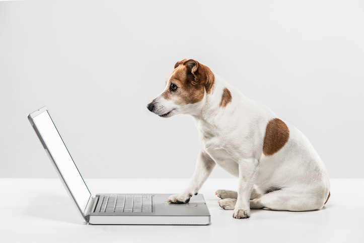 Telemedicina Veterinária: Como Funciona e Seus Benefícios para Animais e Tutores