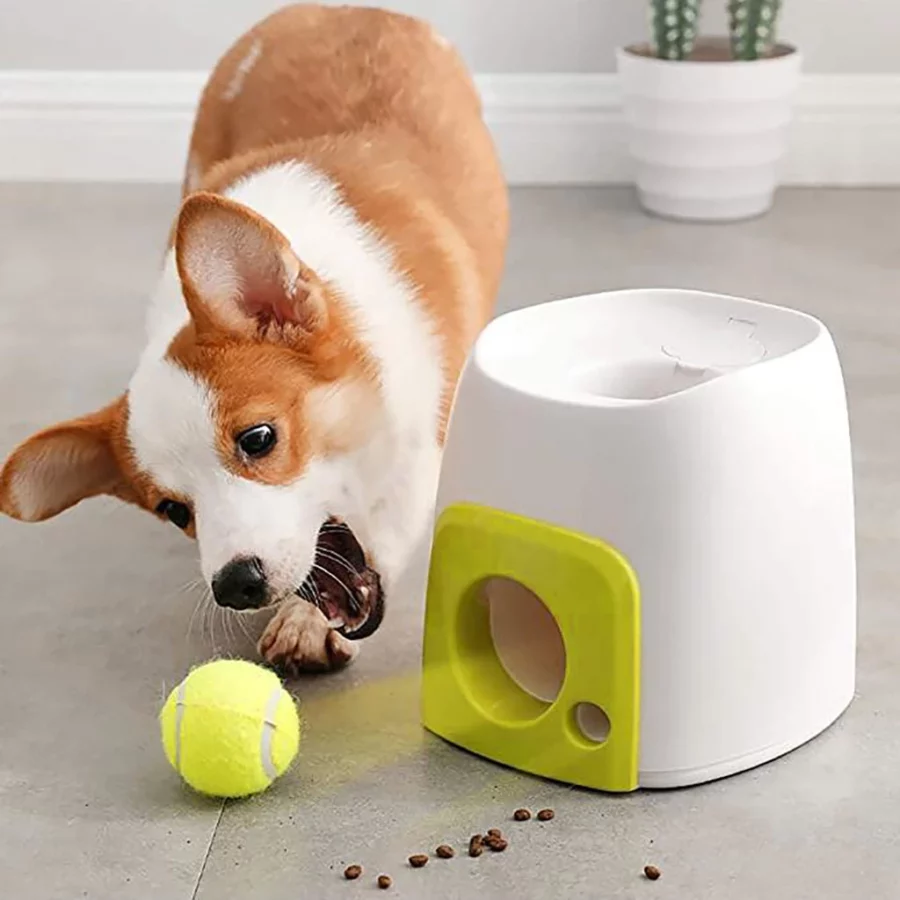 Sustentabilidade no Mercado Pet: Produtos Eco-friendly para um Consumo Consciente