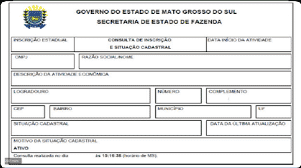 MEI em SP, MG, RS: O Que Muda na Inscrição Estadual para Cada Estado?