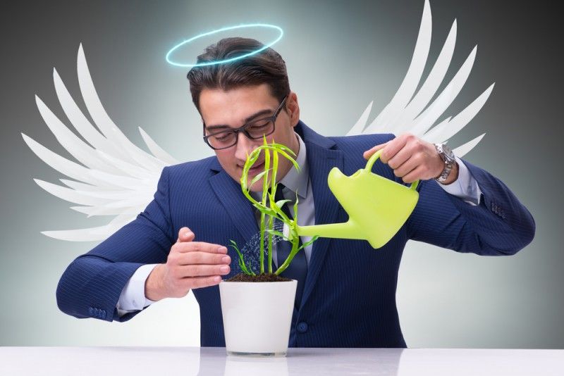 o que o Investidor Anjo Agrega à sua Startup